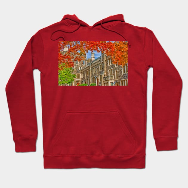 Princeton University Hoodie by vadim19